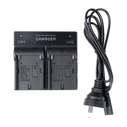 [011001] Dual Digital Battery Charger