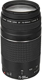 [000130] Canon EF 75-300mm f/4-5.6 Lens